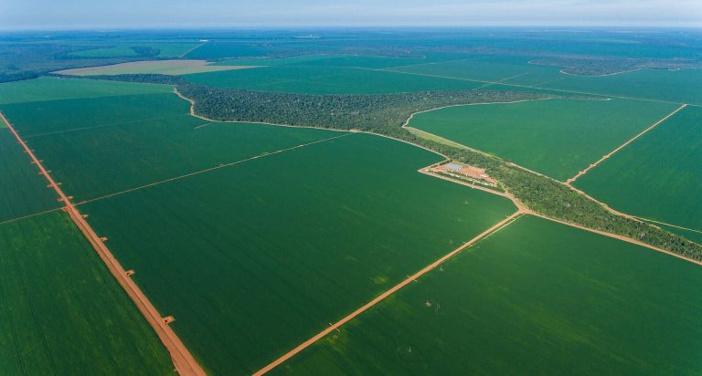 Precos-de-Fazendas-no-Mato-Grosso-1920x1030